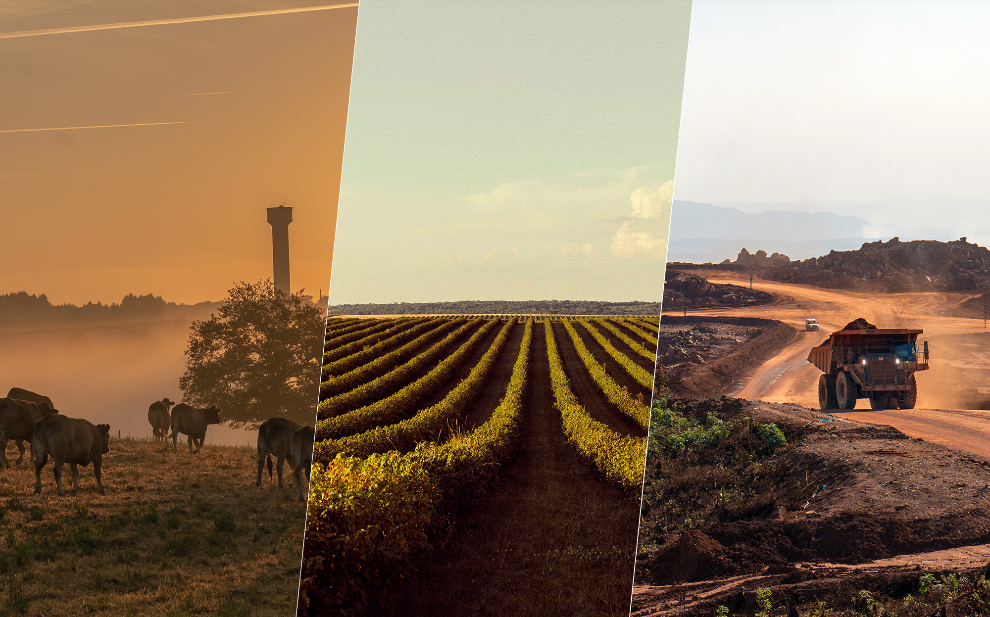 Consultoria em Direito Ambiental